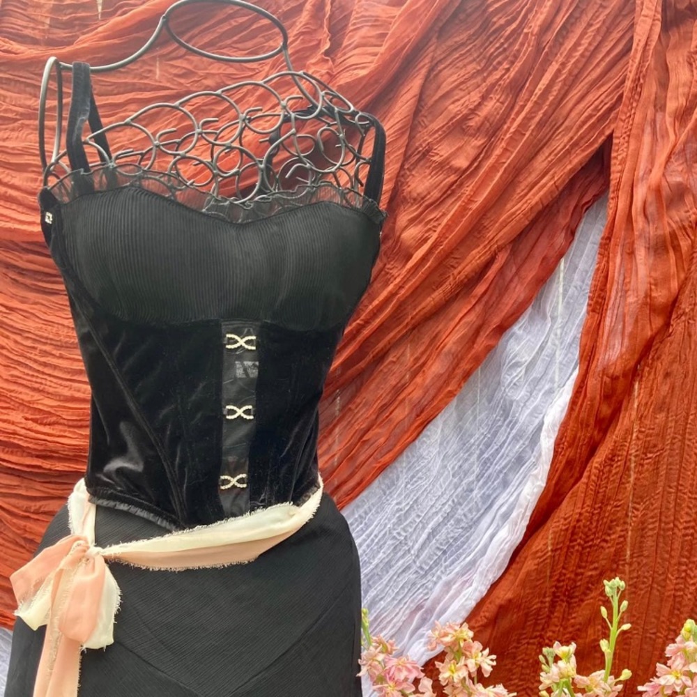 Stunning Velvet corset